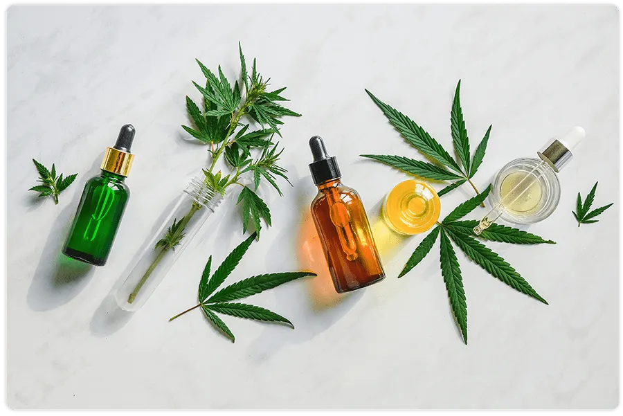 Leafly Business Model The Marijuana D2C platform