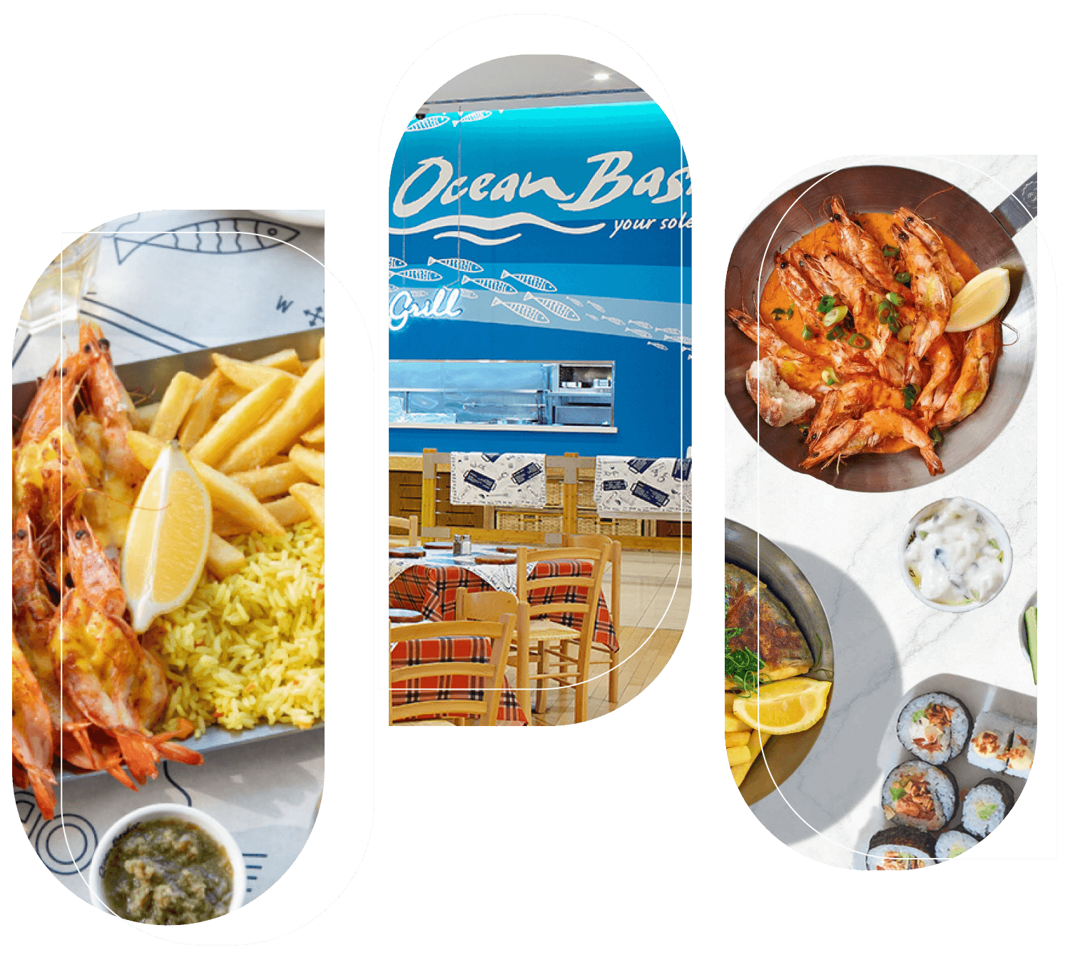 oceanbasketportada